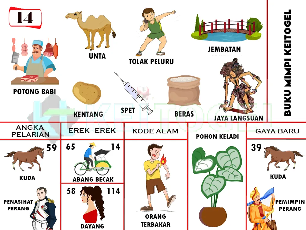 buku mimpi erek erek togel 14
