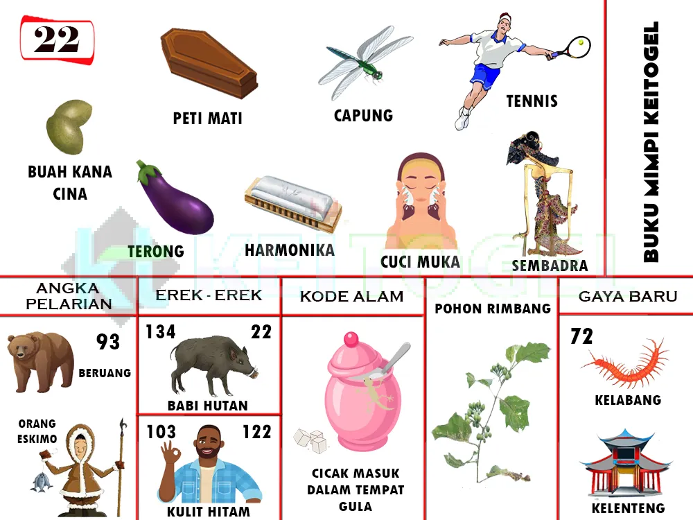 buku mimpi erek erek togel 22