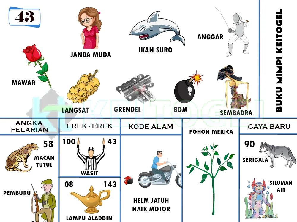 buku mimpi erek erek togel 43
