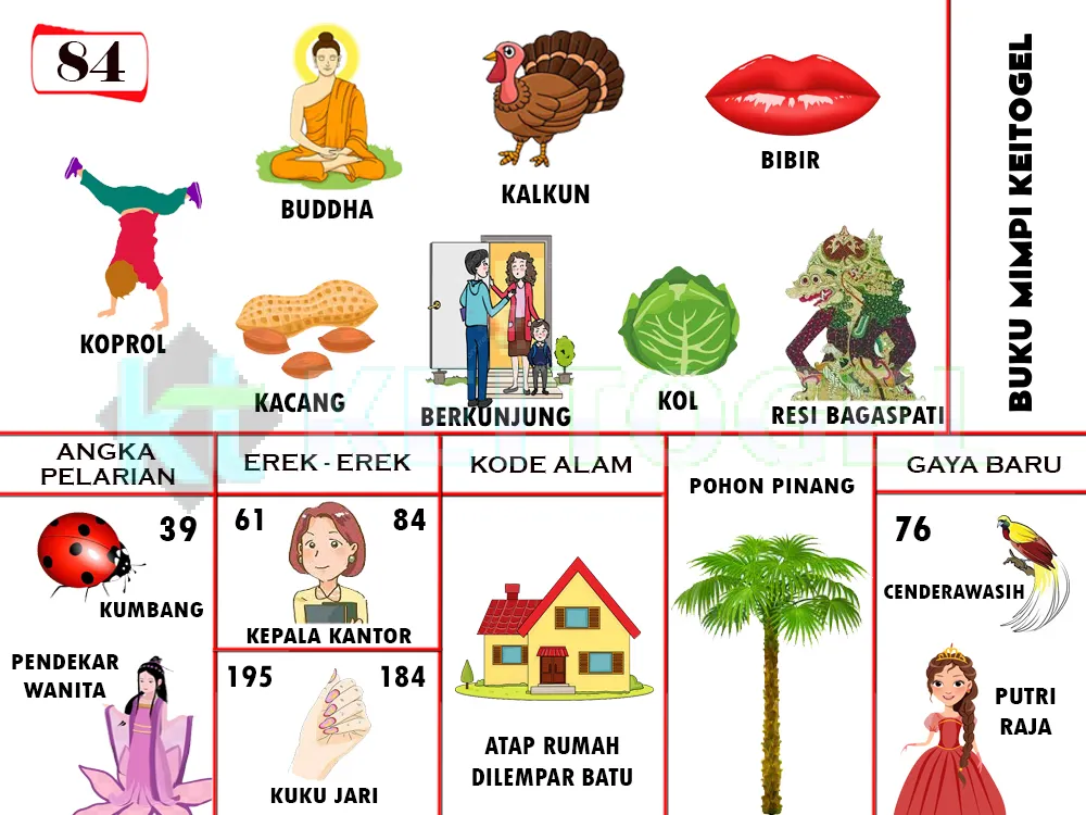 buku mimpi erek erek togel 84